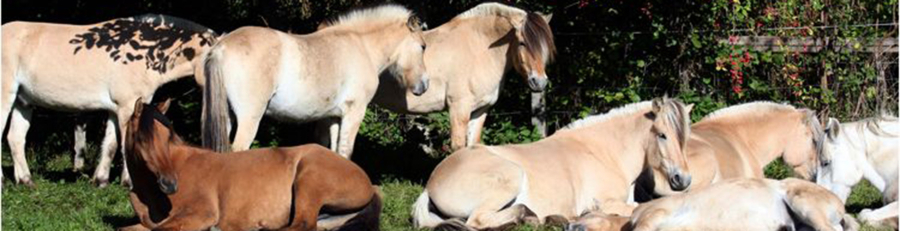 22_equipe