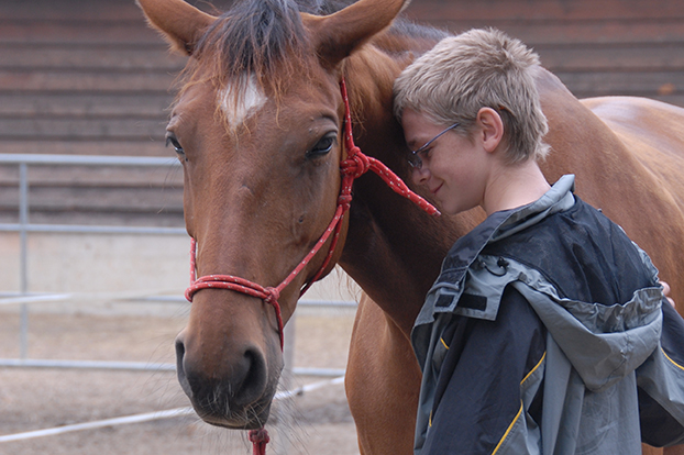 developpement personnel accompagnement enfants avec chevaux suisse romande